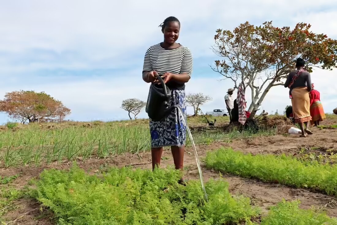 Hilfsorganisationen fordern auf der Klimakonferenz in Baku mehr Gelder von Industriestaaten für Klimaanpassung und betonen die Dringlichkeit des Handelns.