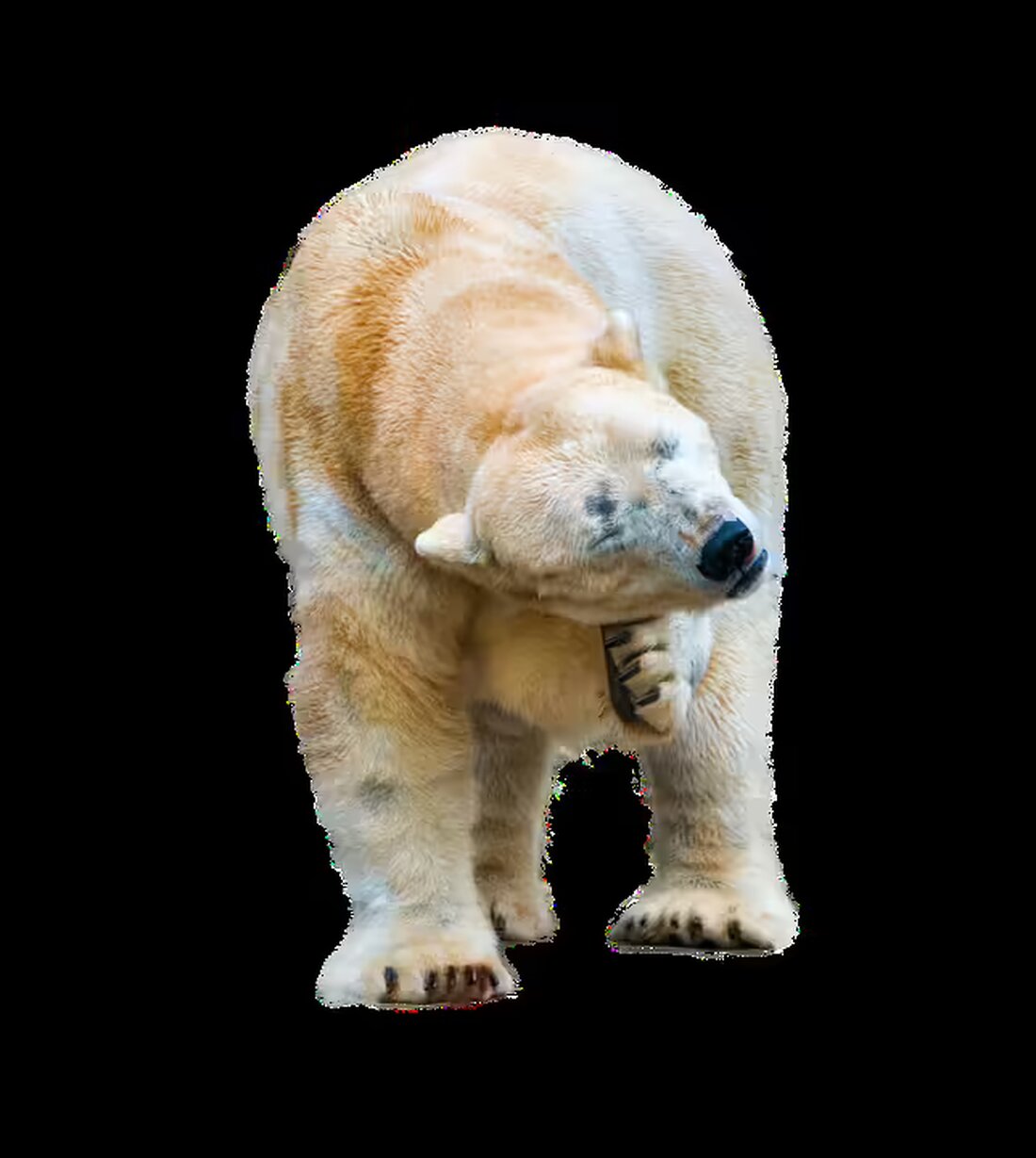 Am 19. November 2024 um 18 Uhr findet im Kulturzentrum Kremsmünster ein informativer Vortrag zur „Klimaeffizienz im privaten Bereich“ statt. Seien Sie dabei und erfahren Sie mehr!