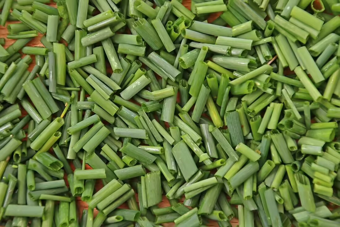 Mit der Koralmbahn startet Kärnten in eine nachhaltige regionale Entwicklung. Neue Leitbilder fördern Synergien in Unterkärnten, Klagenfurt und Villach bis Ende 2025. Lesen Sie mehr!