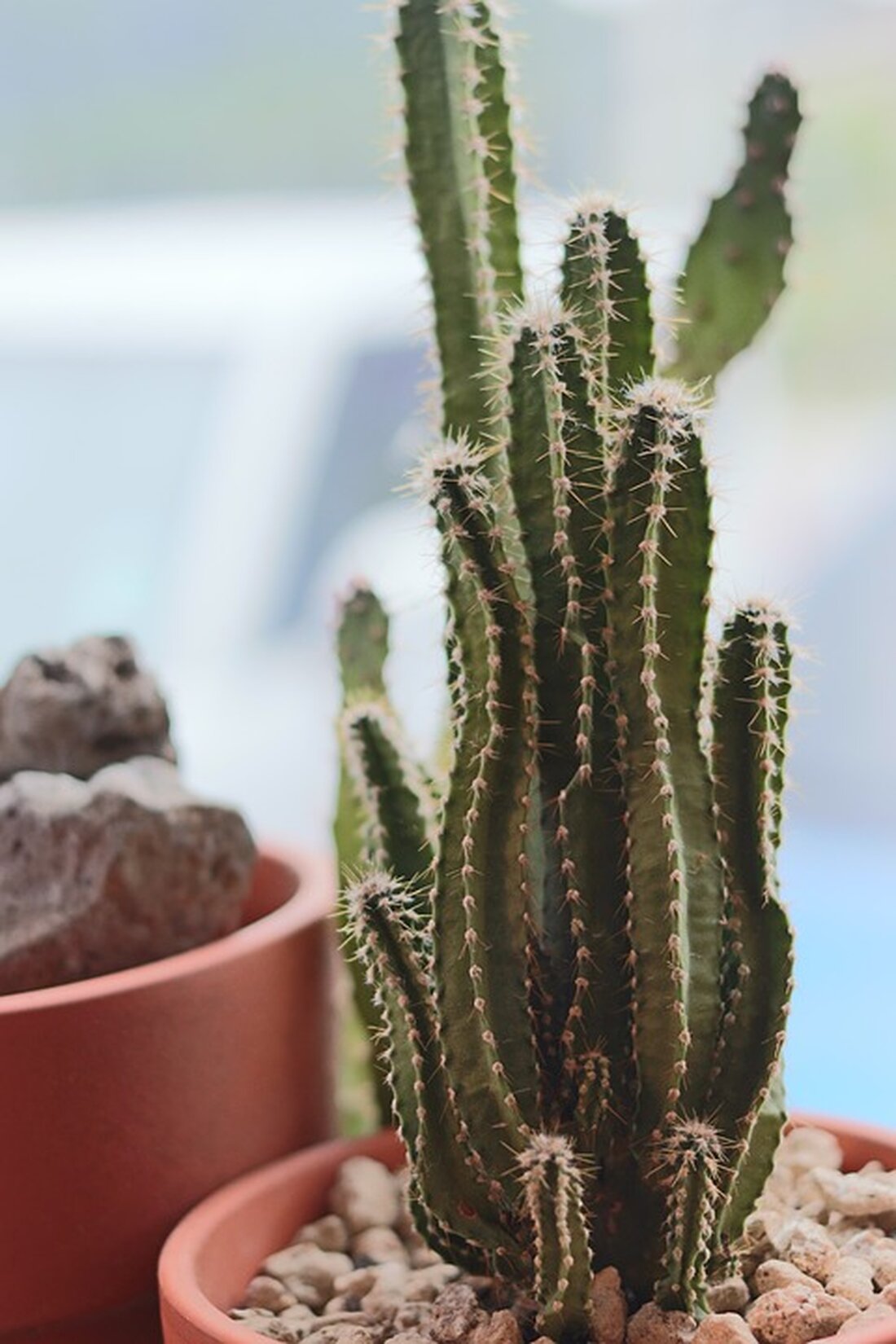 Entdecken Sie die Herausforderungen beim Bau der Weihnachts-Pyramide in Uebigau. Ehemalige Erbauer teilen ihre Erinnerungen und Einblicke in ein besonderes Stück Tradition.