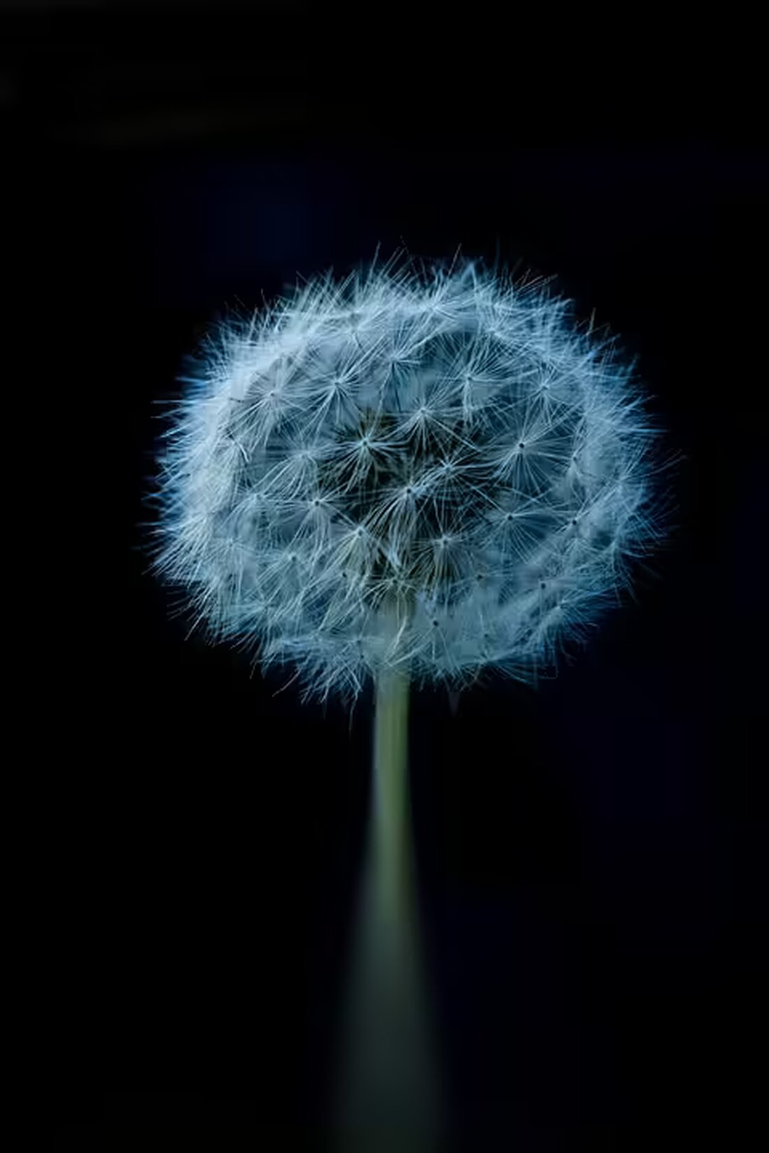 Erleben Sie festliche Freude beim Aufsteirern Weihnachtsmarkt! Sichern Sie sich am 13. Dezember 2024 kostenlose „Kleine Zeitung Waffeln“ – einfach App runterladen und registrieren! Genießen Sie steirische Köstlichkeiten und zauberhafte Stimmung hoch über Graz.