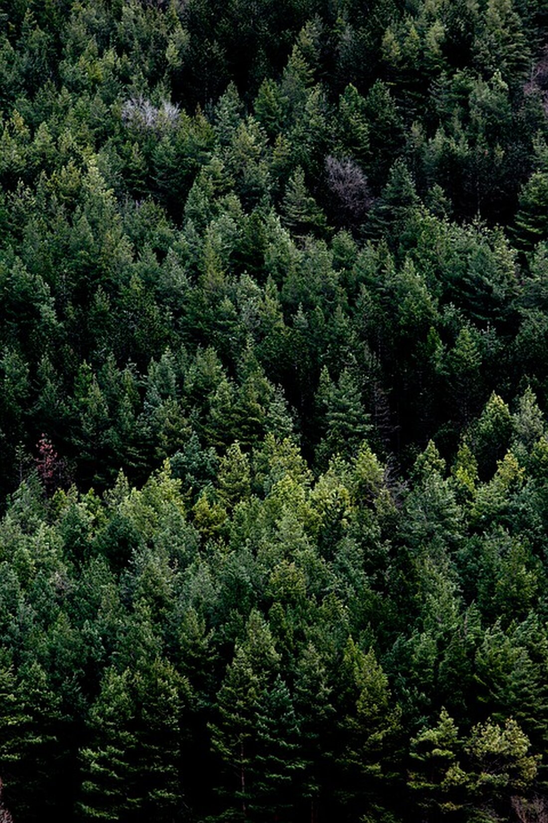 Der NÖ Zivilschutzverband ehrte 19 Gemeinden für ihre Krisensicherheit, darunter Krems, Rastenfeld und St. Leonhard/Hw. Erfahren Sie mehr über diese Auszeichnung und ihre Bedeutung.