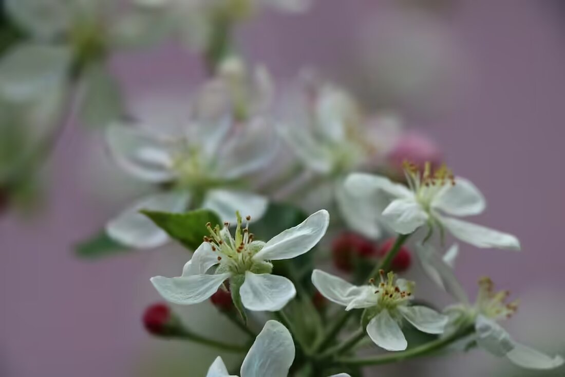Erleben Sie LEMO und seine Band live im Forum Kloster Gleisdorf! Ein unvergesslicher Abend voller authentischer Rockmusik und einem starken Vorprogramm von Jacob Elias. Jetzt lesen!