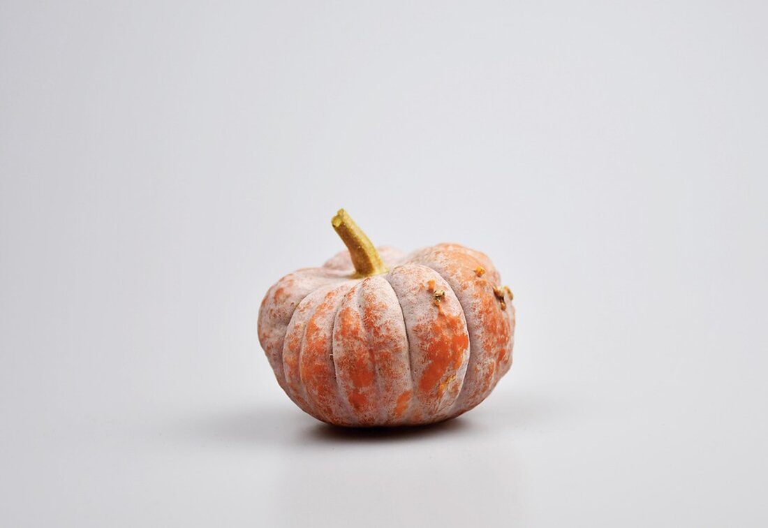 Erleben Sie den Ball des Jahres in Reichenau! Die Landjugend-Ortsgruppe feierte ein unvergessliches Wochenende voller Tanz und Freude. Entdecken Sie die Höhepunkte und Eindrücke in unserem Artikel!