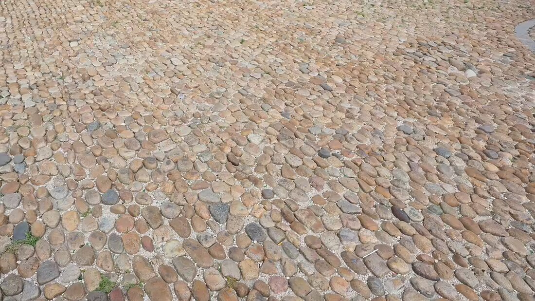 Im Rahmen des Lehrlings-Speed-Datings 2024/2025 trafen Schüler:innen der Fachmittelschule Wien 23 auf potenzielle Lehrbetriebe. Ein wichtiger Schritt zur Karriereplanung für junge Talente!