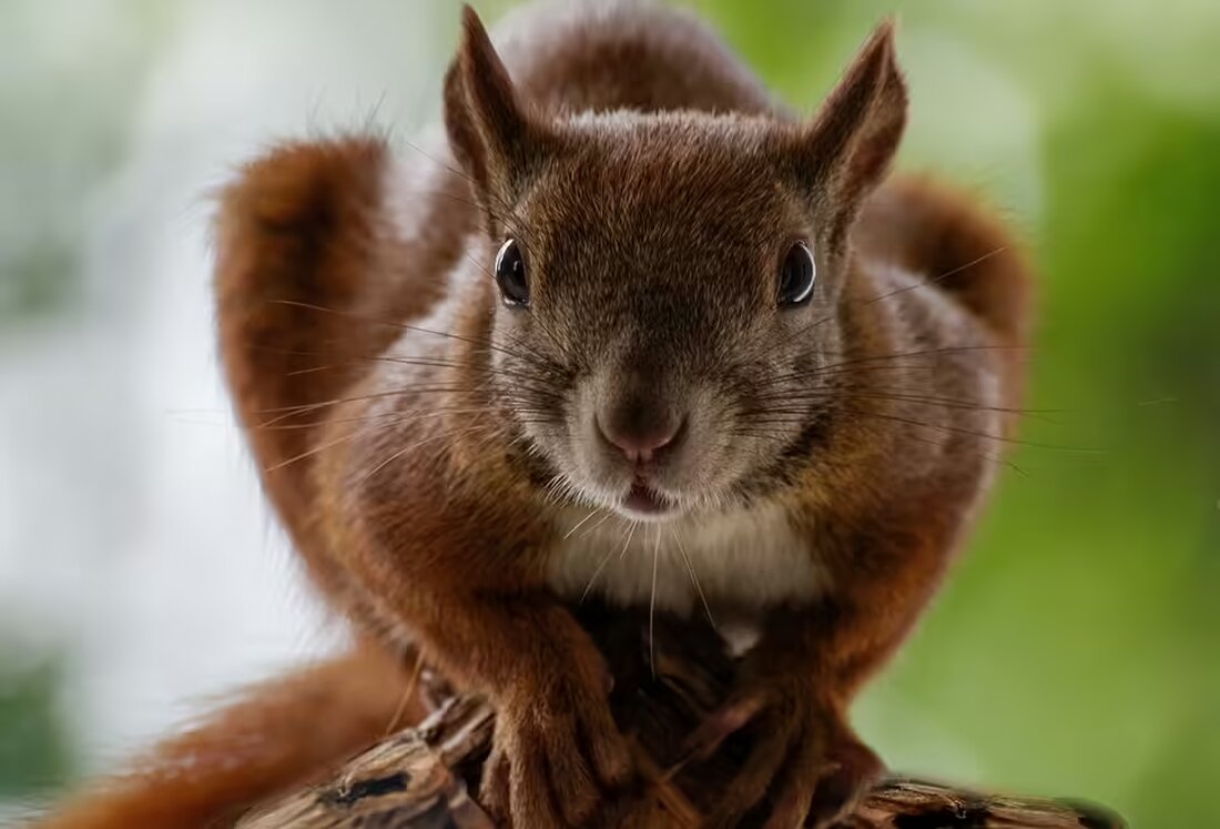 Erleben Sie das kulturelle Highlight „Leopoldstadt“ live aus dem Theater in der Josefstadt! Verpassen Sie nicht die Aufführung im Livestream und genießen Sie beste Theaterunterhaltung bequem von zu Hause.