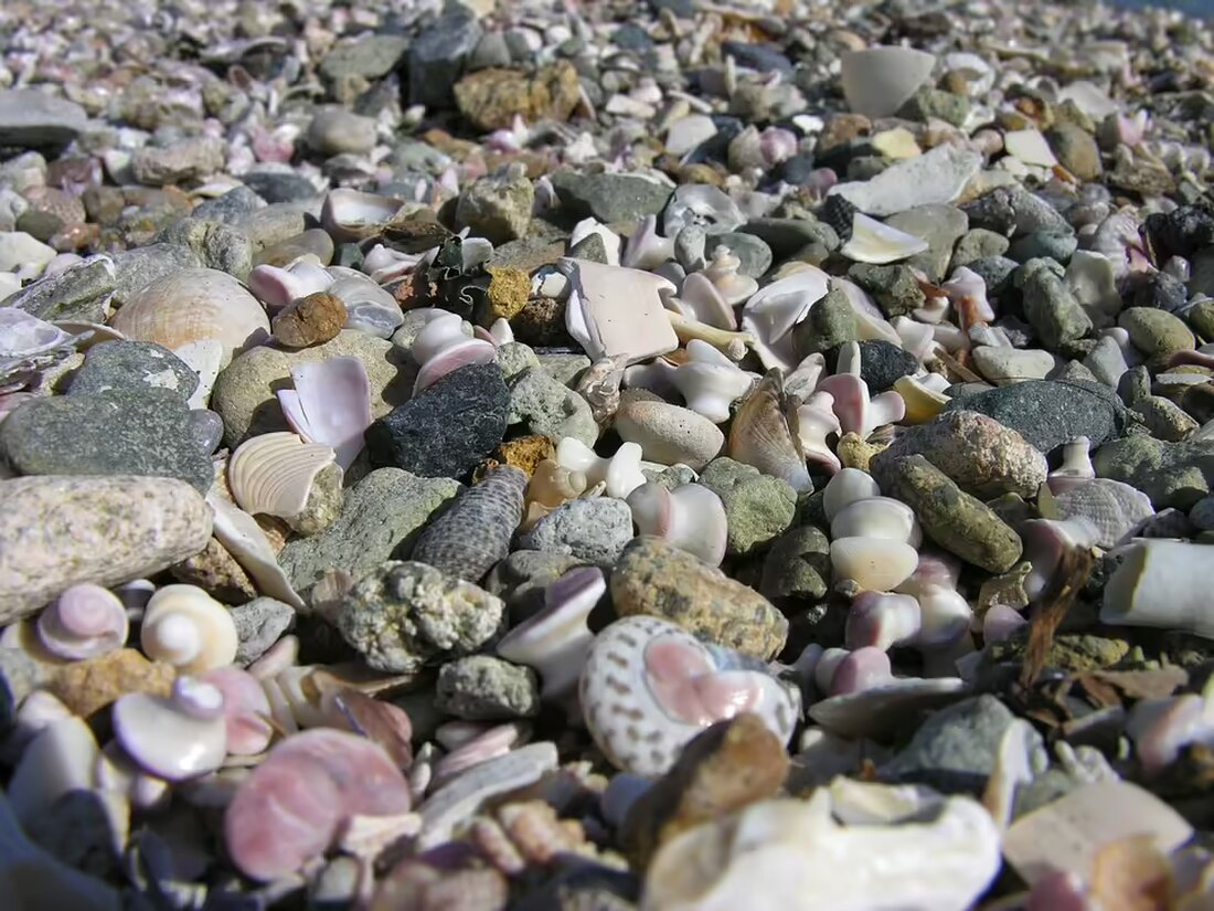 Feiern Sie mit uns 20 Jahre Bücherei neu in Traisen! Autorin Beate Maly präsentierte ihre Werke "Lottes Träume" und "Mord im Stadtpalais" bei einer spannenden Lesung. Ein unvergesslicher Abend!