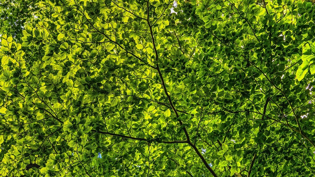 Die Linz AG startet mit ihrem ersten E-Fahrzeug für die Altpapiersammlung und plant den Einsatz von fünf weiteren bis 2025. Ein wichtiger Schritt für umweltfreundliche Müllabfuhr in Linz!