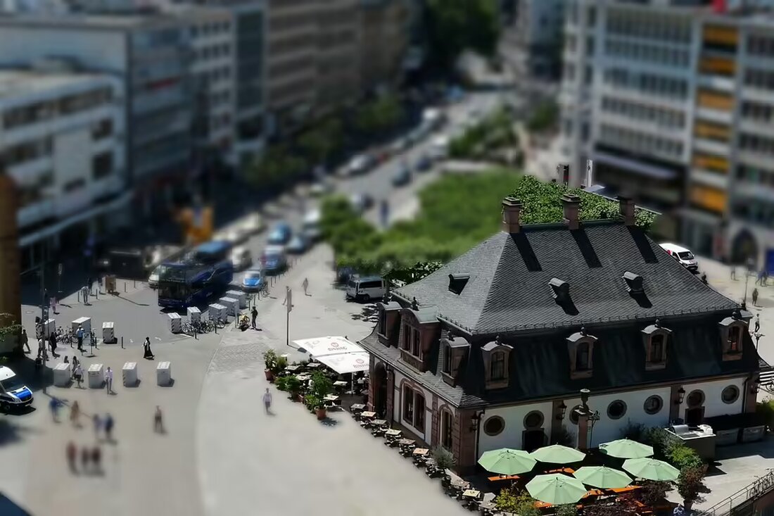 Die Linzer Meinungen über den 2.500-Kilo-Christbaum sind geteilt: Von "grupftes Hendl" bis zur Hoffnung auf festlichen Schmuck – was denken die Bürger wirklich über den Kahlen?