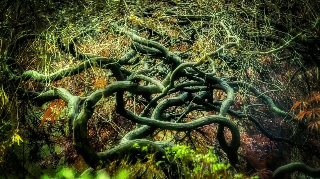 Erleben Sie die außergewöhnliche Magie-Show „Alpenzauber“ live in Rohrbach! Lassen Sie sich von Claudia und Michael in eine faszinierende Welt voller Illusionen und Humor entführen. Tickets jetzt erhältlich!