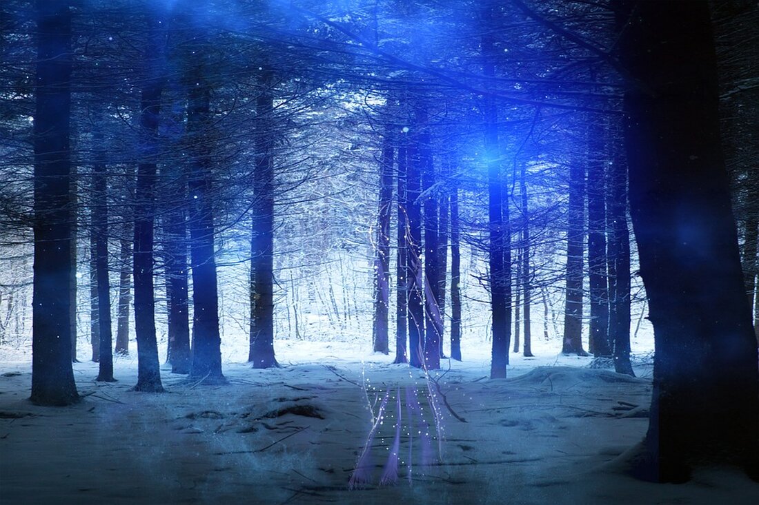 Erleben Sie den zauberhaften Sternenadvent im Elisabethpark am Zeller See. Festliche Stimmung, leckerer Glühwein und ein vielfältiges Familienprogramm erwarten Sie bis zum 31. Dezember 2024!