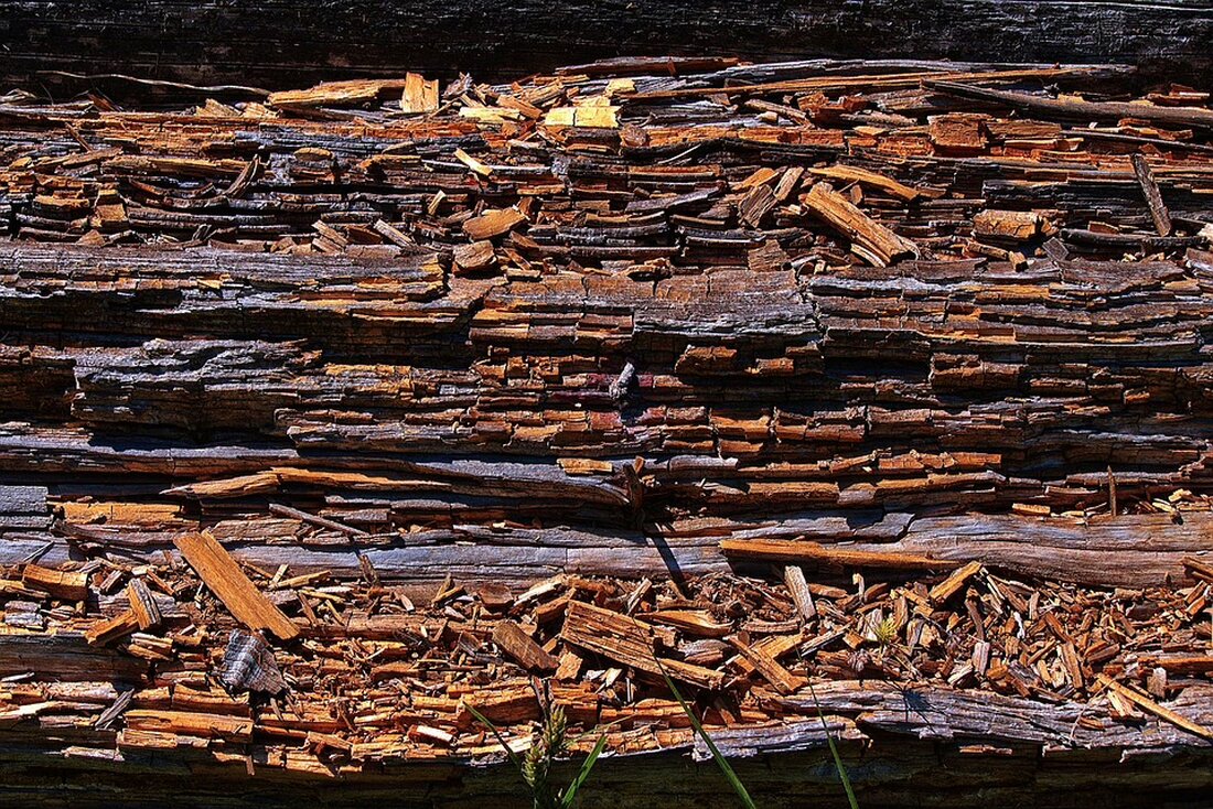 Erleben Sie die Freude beim Maronifest in Deutsch-Gerisdorf am 15. November 2024! Ein Fest voller Genuss und Geselligkeit, das die Maroni-Zeit feiert. Sehen Sie die Höhepunkte des Events!