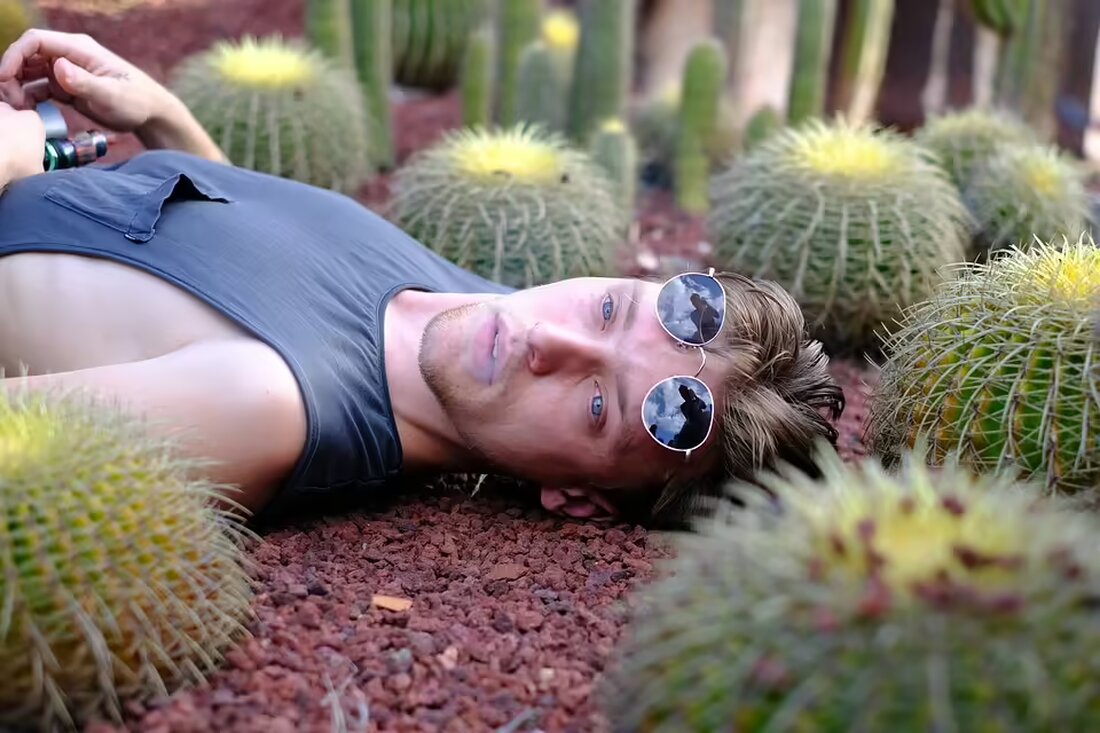 Erleben Sie die traditionelle Weinverkostung beim Martiniloben in Purbach! Genießen Sie erlesene Weine und kulinarische Köstlichkeiten in historischen Kellern rund um den Neusiedler See.