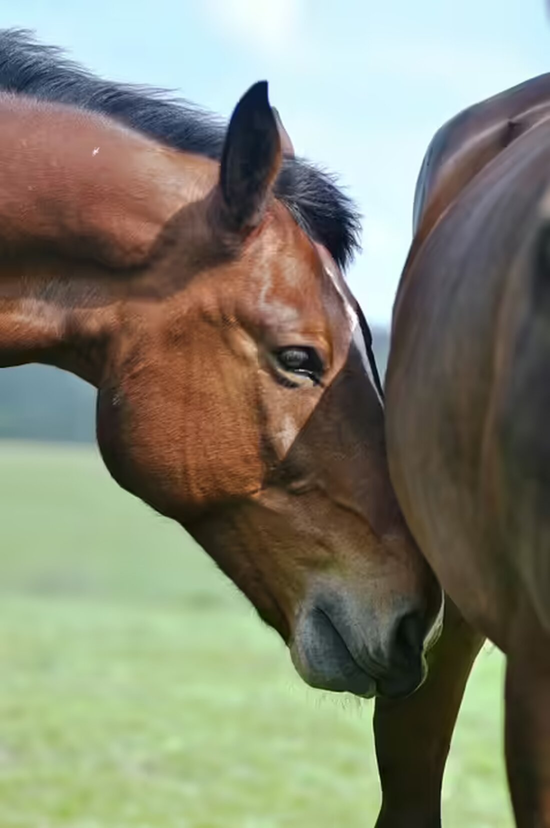 Erfahren Sie alles über die bevorstehenden Auftritte von Melissa Naschenweng auf ihrer Tour 2024/2025. Entdecken Sie die Städte und Termine, an denen der Schlager-Star zu sehen sein wird!