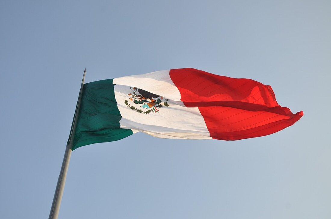 Mexiko testet eine neue App, mit der Migranten vor möglicher Festnahme durch US-Behörden warnen können. Ein “Paniktaste” sendet sofortige Alarmmeldungen an Angehörige und Konsulate.
