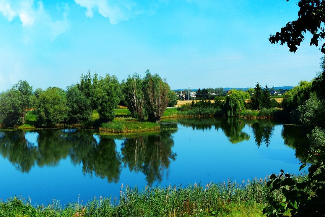 Erfahren Sie mehr über den Tiroler Bauernkrieg und die bedeutende Rolle von Michael Gaismair vor 500 Jahren. Entdecken Sie die Hintergründe eines historischen Aufstands, der bis heute nachwirkt.