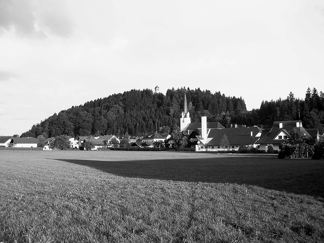 Beim 36. Bezirksparteitag der FPÖ Kirchdorf wurde Michael Gruber mit 99,3 % der Stimmen als Bezirksparteiobmann bestätigt. Er setzt auf ein starkes Team und bürgerschaftliches Engagement für eine erfolgreiche freiheitliche Politik.
