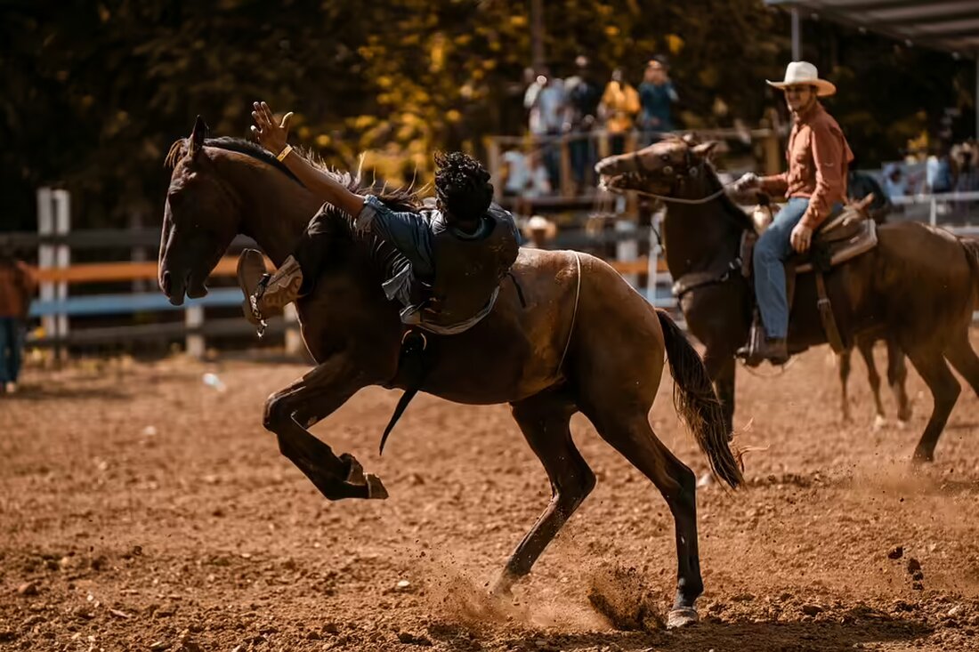 Am Mittwochnachmittag, dem 6. November 2024, kam es im Bezirk Straßgang zu einem Verkehrsunfall zwischen einem Moped und einem Lkw. Der Mopedfahrer wurde leicht verletzt ins UKH Graz gebracht.