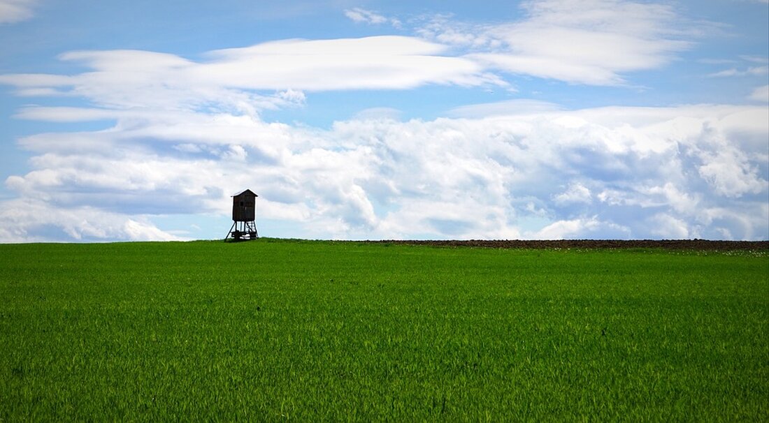 Der Regionalverein Mostlandl Hausruck feiert sein 10-jähriges Bestehen! Erfolgreiche Projekte in Klimaschutz, Landwirtschaft und Kultur prägen die Region. Erfahren Sie mehr über die Erfolge und Zukunftspläne!