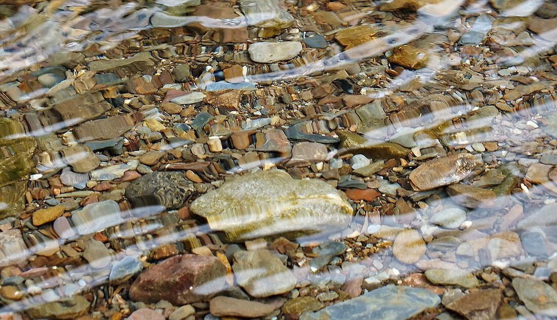 Nach dem Hochwasser im September gibt es eine Müllsammelaktion entlang des Thayauers. Helfen Sie mit, die Flüsse von Plastik und Sperrmüll zu befreien und die Natur wiederherzustellen!