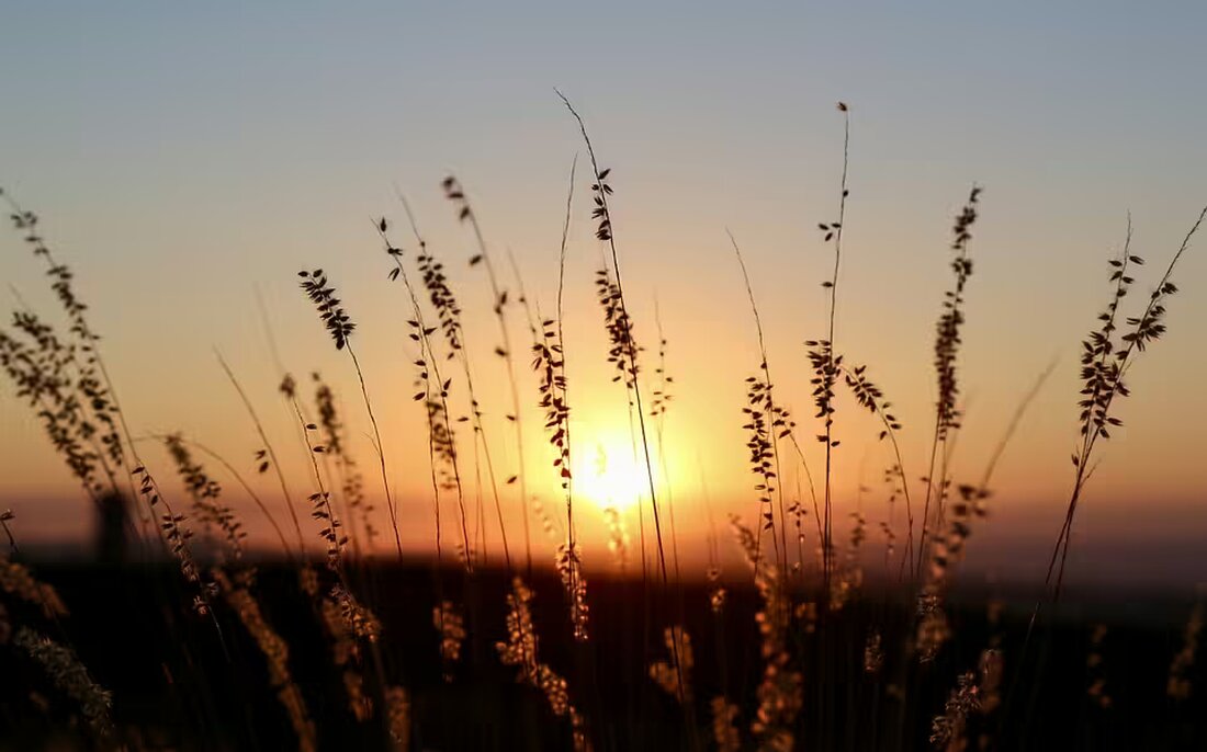Erleben Sie am 14. November in Mattersburg einen besonderen Abend bei „Redsölich – Die Stadtgespräche“. Freuen Sie sich auf Musik und interessante Gespräche im ehemaligen Gasthaus Koller!