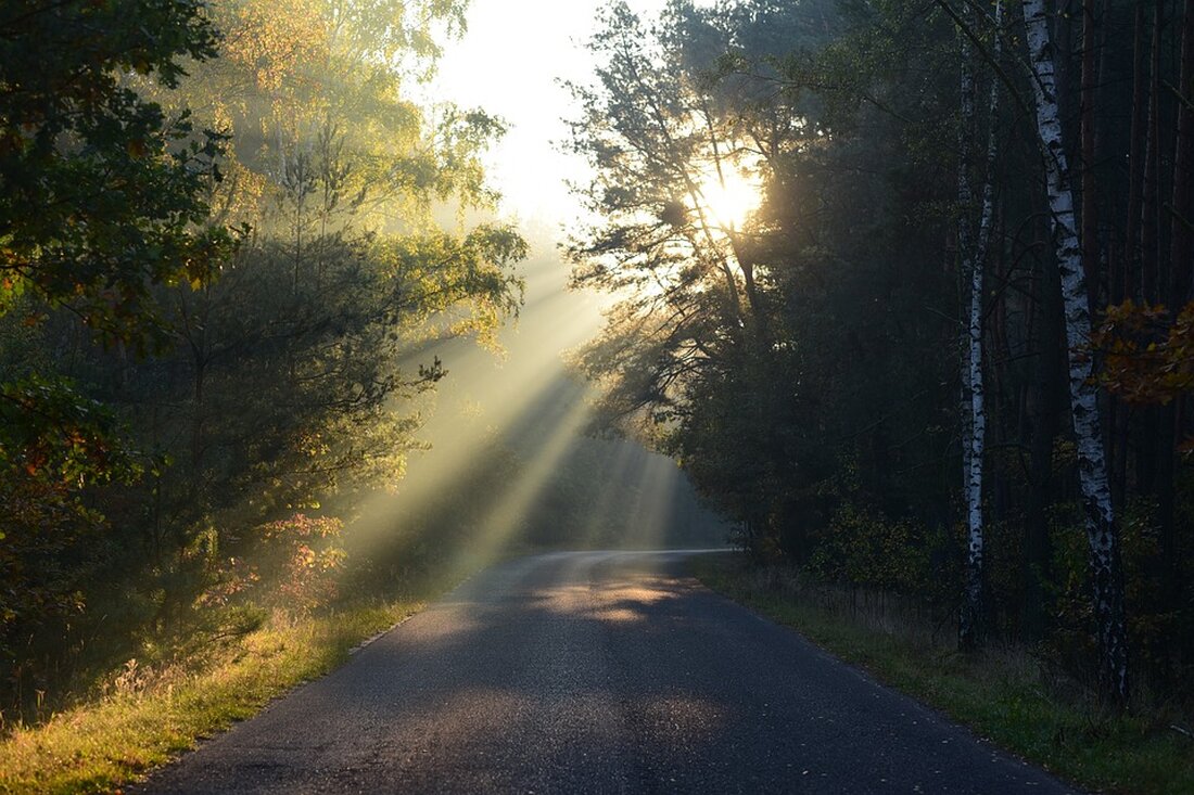 Erleben Sie die mystische Fackelwanderung ins Wurzacher Ried am 15. Dezember! Genießen Sie eine stimmungsvolle Tour mit Informationen über die winterlichen Lebensräume. Anmeldung erforderlich.