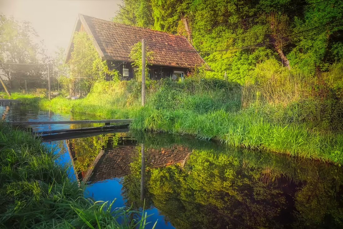 Nach langer Schließung öffnete die Fischzucht Igler in Leoben wieder ihre Türen. Lokale Kunden zeigen Freude und Dankbarkeit über die Rückkehr des beliebten Geschäfts. Erfahren Sie mehr über die Wiedereröffnung und ihre Bedeutung für die Gemeinschaft.