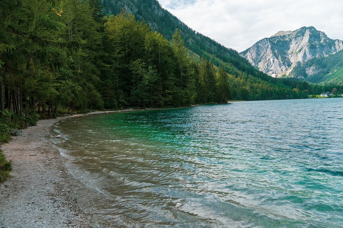 Die Lauffreunde Traunsee Panthers feierten bei der österreichischen Meisterschaft im Geländelauf einen gelungenen Einstand. Nachwuchstalente Anna und Lea Söser überzeugten mit starken Leistungen.
