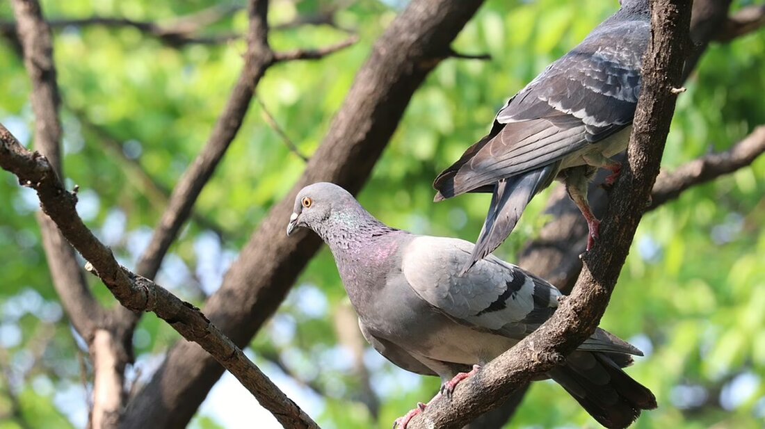 Die neue Raiffeisen-Bankstelle in Hinterstoder eröffnet modernisierte Räumlichkeiten für über 2.000 Kunden. Lesen Sie mehr über die gelungene Modernisierung und die Vorteile für die Region.