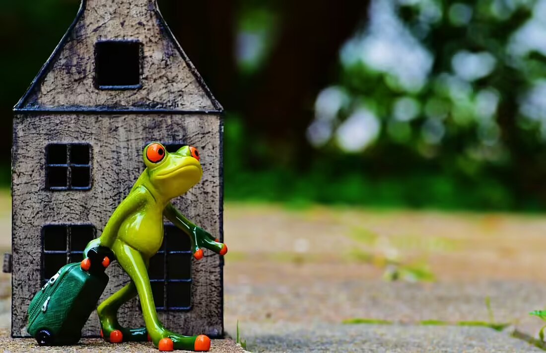 Nach dem Verzicht von Bürgermeisterin Heike Horn beginnt der Langeooger Rat die Suche nach einer Nachfolgerin. Die Übergangszeit soll aktiv gestaltet werden, um die Insel zukunftsfähig zu führen.