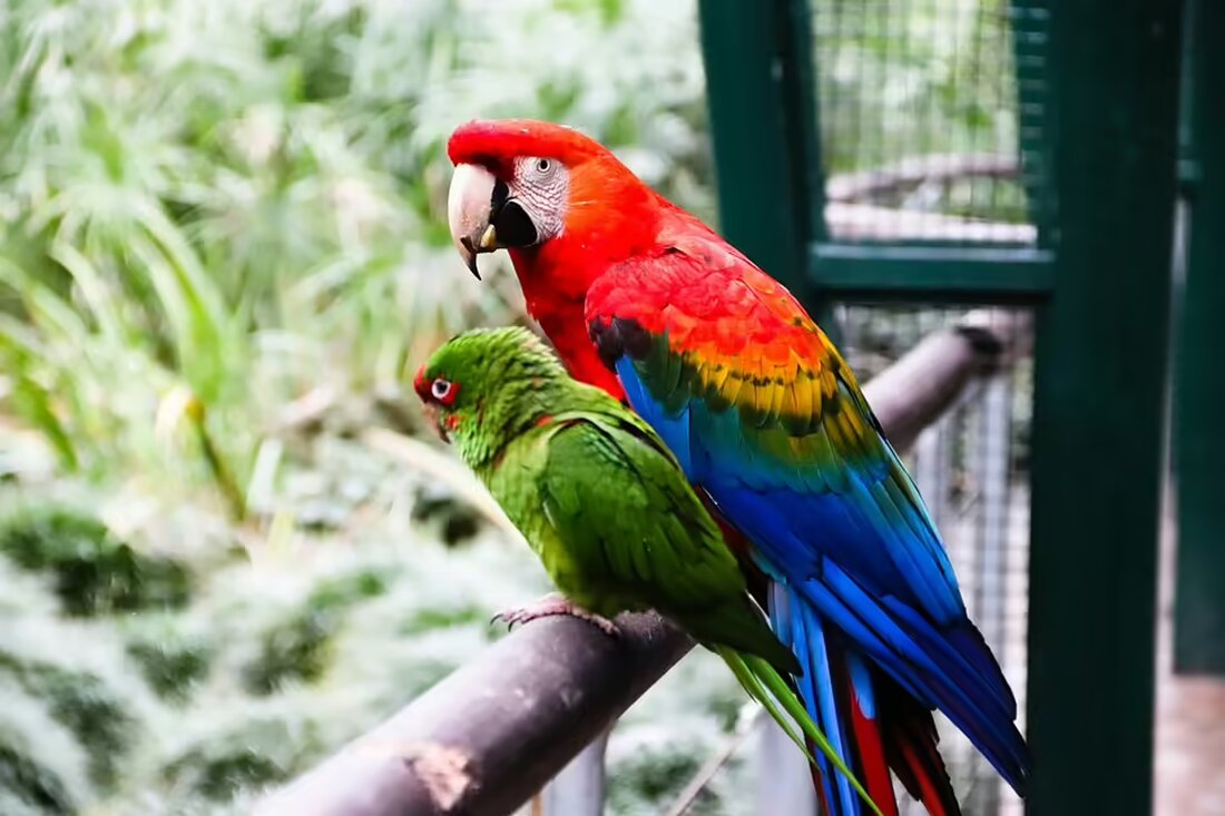 Brigitte Reinhardt übernimmt als neue Gebietsbäuerin in Scheibbs von Maria Zulechner. Sie setzt sich für die Stärkung der Bäuerinnen und die Bewahrung traditioneller Werte ein.