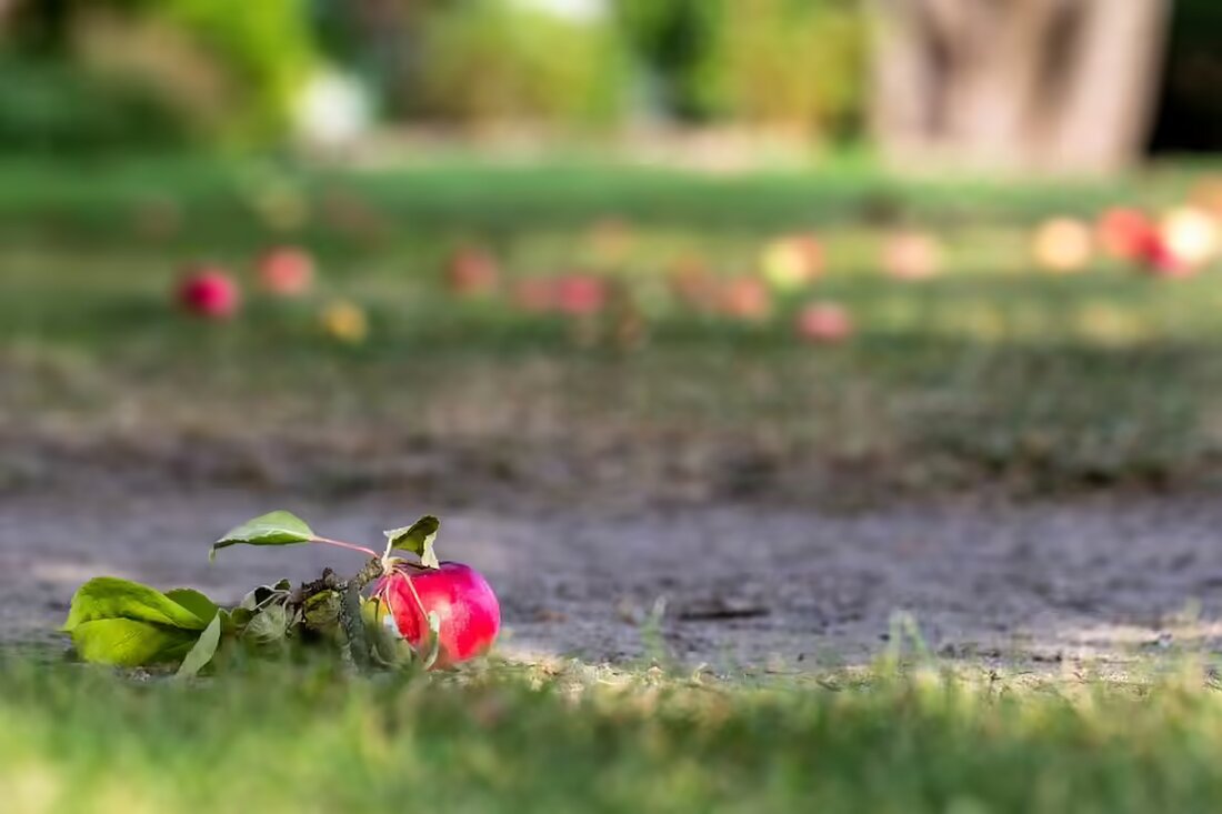 Rudolf Ferdinand Watschinger, bisher Stellvertreter des Landesamtsdirektors, ist seit 1. November neuer Bezirkshauptmann von Urfahr-Umgebung. Er folgt Paul Gruber in den Ruhestand.