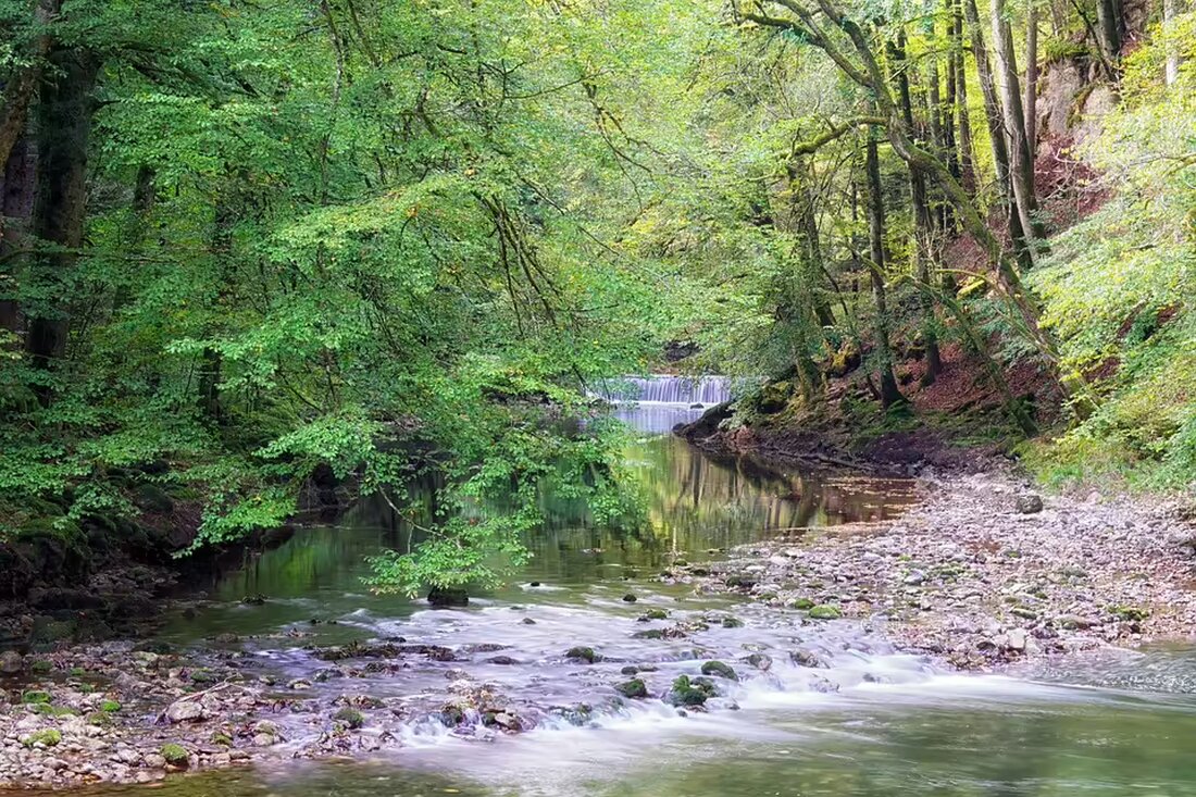 Georg Dornauer tritt als LH-Stellvertreter zurück, bleibt aber Landtagsabgeordneter. Die FPÖ fordert Neuwahlen, während die KPÖ den Wohnbau zur Chefsache machen will. Reaktionen und Entwicklungen im Tiroler Landtag.