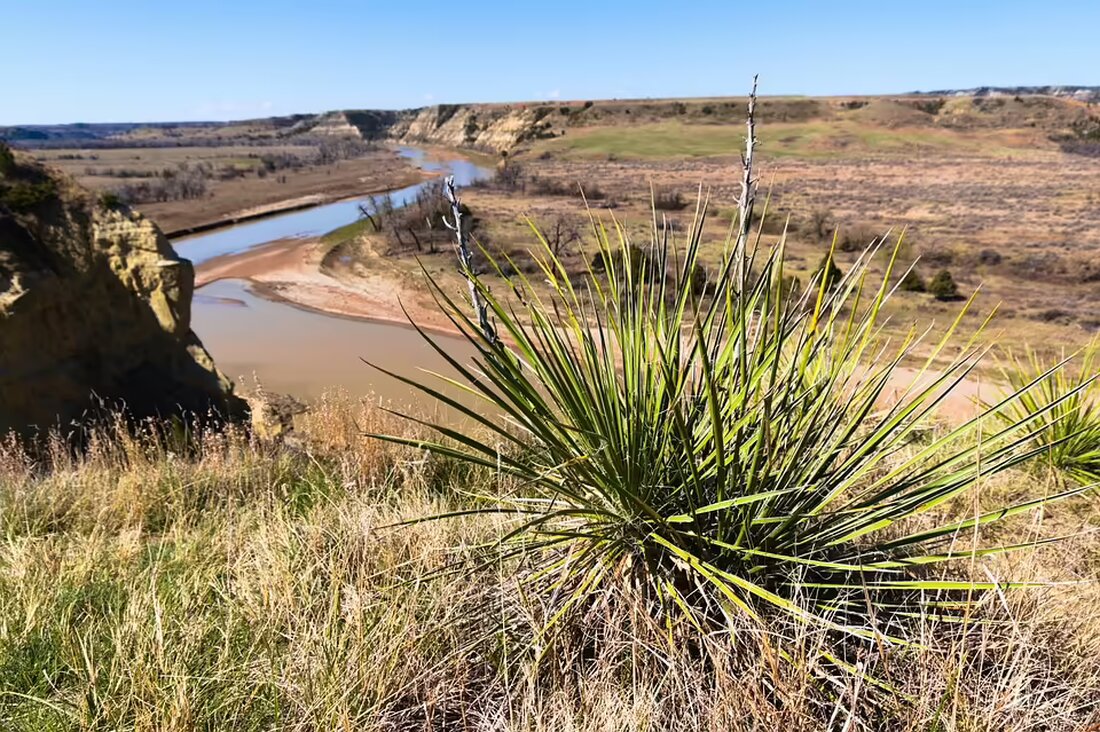 Erfahren Sie in unserem neuesten Artikel, welche neun Antworten rund um den geplanten S-Bahn-Tunnel in Graz gegeben werden und welche Pläne die ÖBB für das Zielnetz 2040 hat.