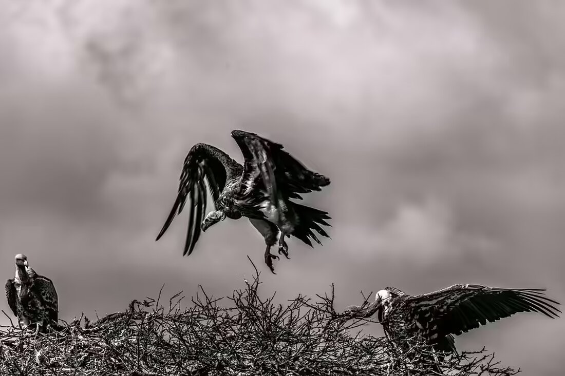 Aktuelle Nachrichten aus dem Bezirk Oberwart: Entdecken Sie die wichtigsten Meldungen aus den Gemeinden kompakt zusammengefasst. Informieren Sie sich jetzt über alles Wichtige!