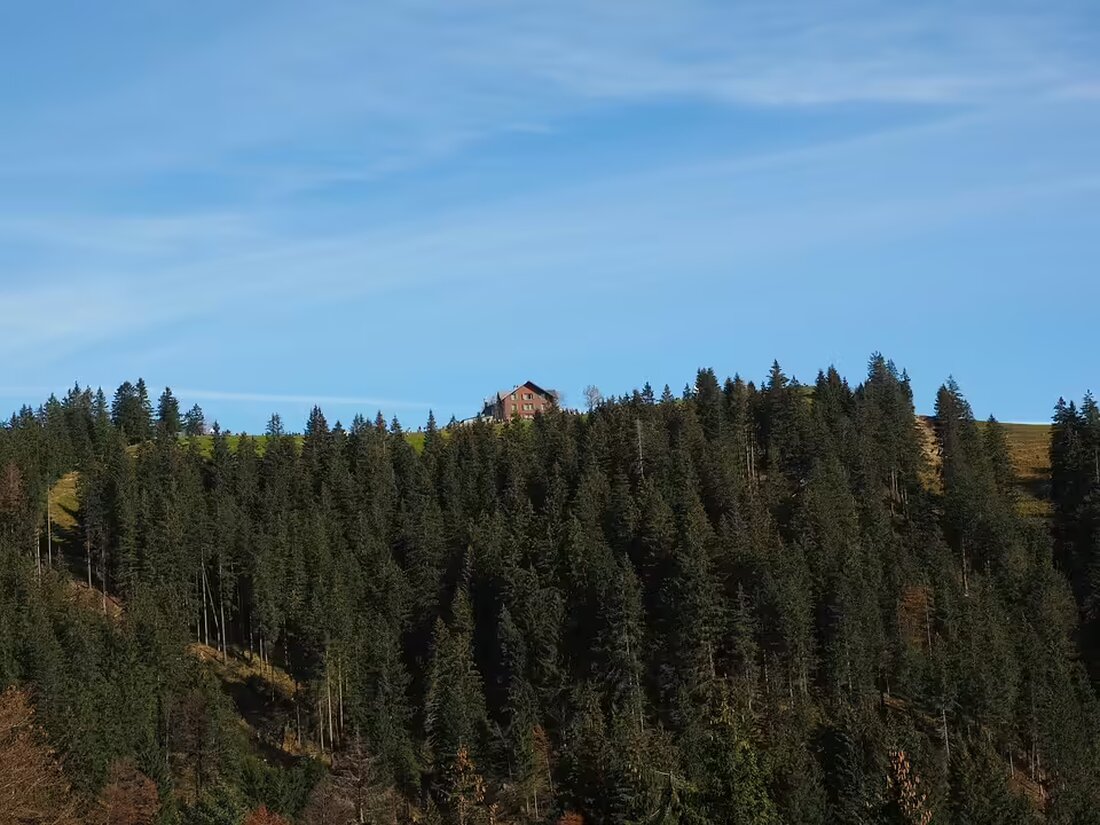 Erleben Sie das Tullnerfelder Neujahrskonzert 2025 mit dem Wiener Residenz Orchester und Sopranistin Yuko Mitani. Genießen Sie ein unvergessliches Musik- und Dinner-Erlebnis im Berghotel Tulbingerkogel.