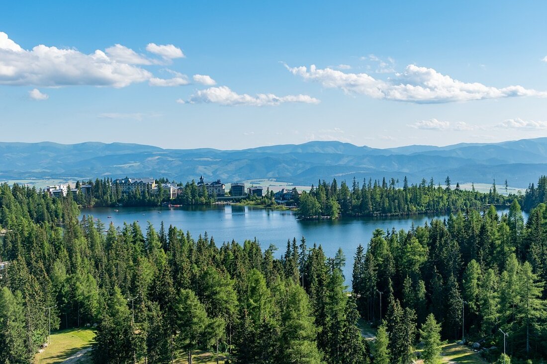 Neunkirchen hat beschlossen, zwei neue Solarparks zu errichten und das Baugebiet Hummelwiese zu entwickeln. Zudem steigen die Bestattungsgebühren. Erfahren Sie mehr über die aktuellen Entwicklungen!