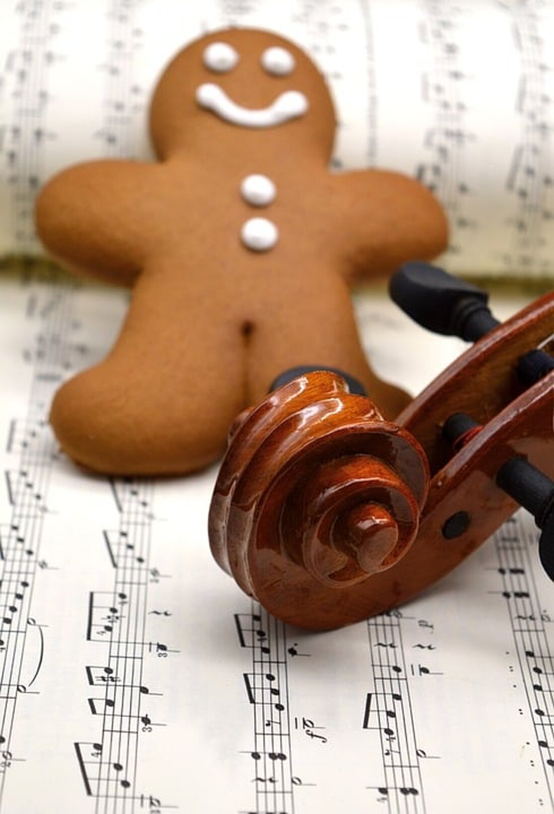 Erleben Sie das traditionelle Neunkirchner Weihnachtskonzert am 7. Dezember in neuem Glanz! Der Musikverein präsentiert ein verändertes Programm im Festsaal der Volksschule Mühlfeld.
