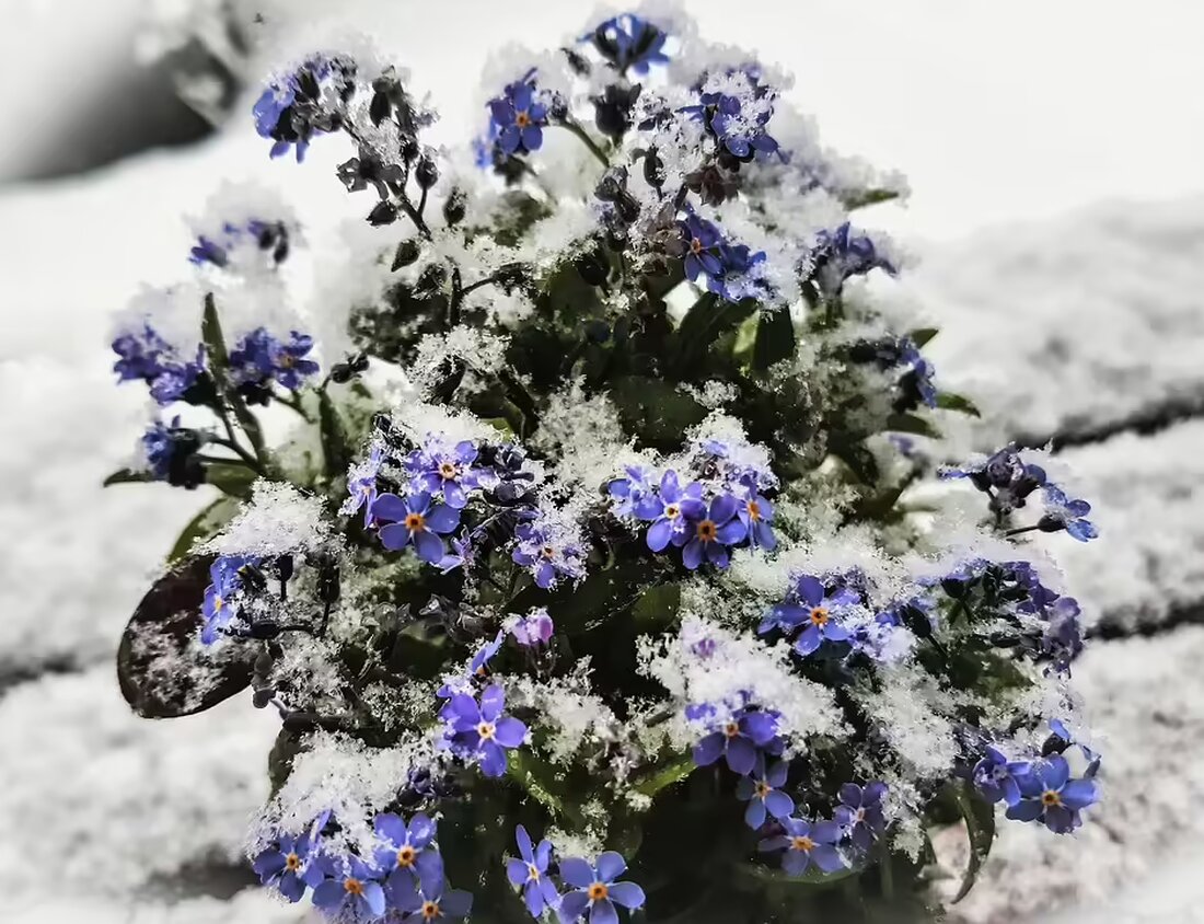 Die Stadt Wels gedenkt der Reichspogromnacht mit einer Gedenkveranstaltung unter dem Motto „Niemals vergessen“ am 7. November. Seien Sie dabei und erinnern Sie mit uns!