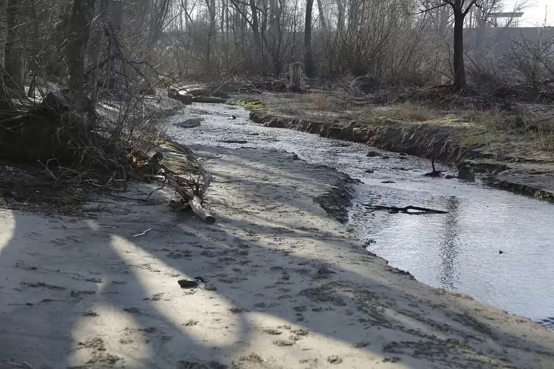 Die Faschingsgilde Obernberg am Inn stürmte erneut um 11.11 Uhr das Rathaus. Präsident Josef Wiesenberger führte die feierliche Abordnung an. Erleben Sie die festliche Stimmung und Tradition!