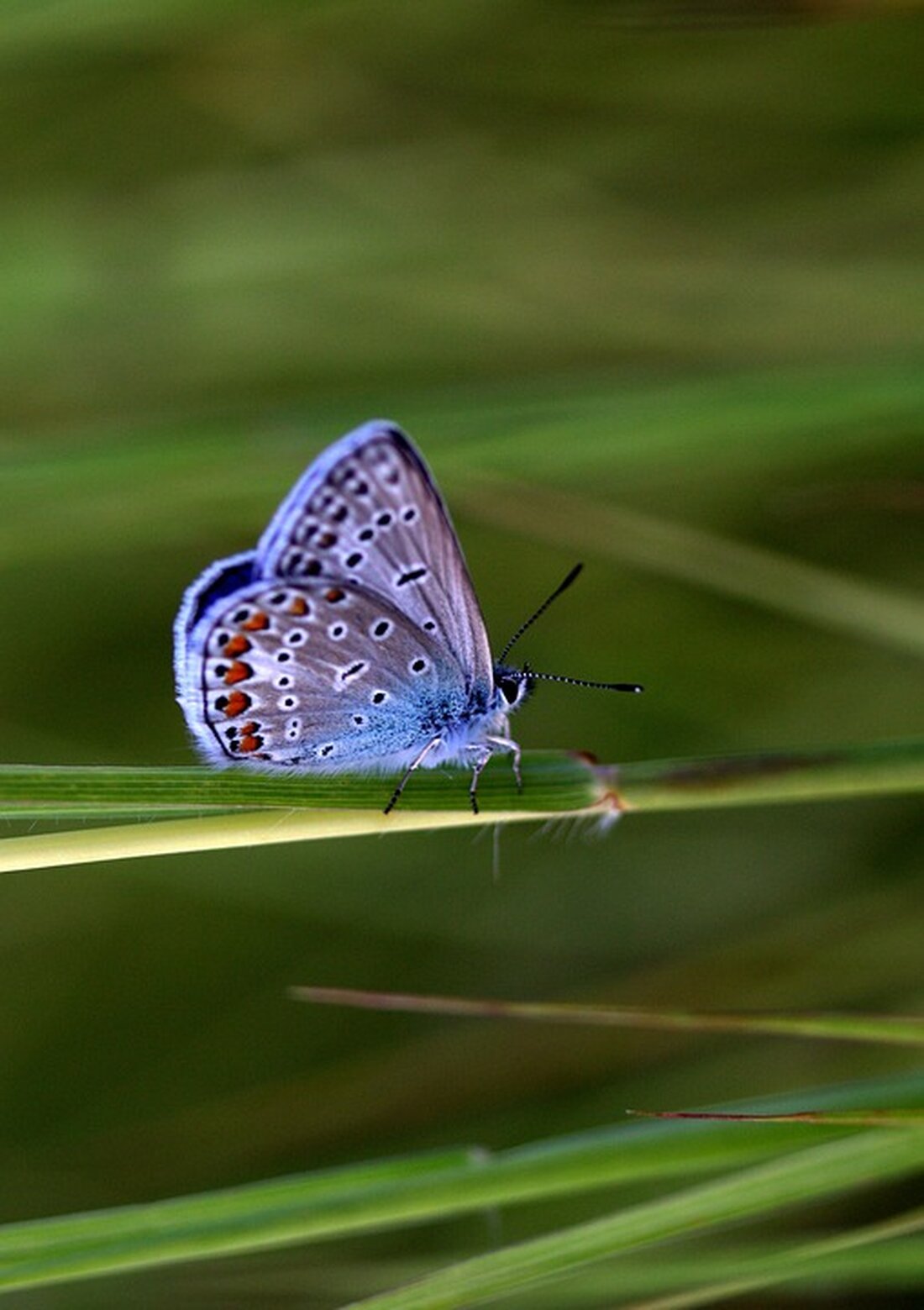 Öamtc und Polizei setzen mit der Licht-Aktion "Flugzettel statt Strafzettel" im Burgenland auf mehr Sichtbarkeit im Straßenverkehr. An den Stützpunkten wurden 46 Lampen kostenlos ersetzt.