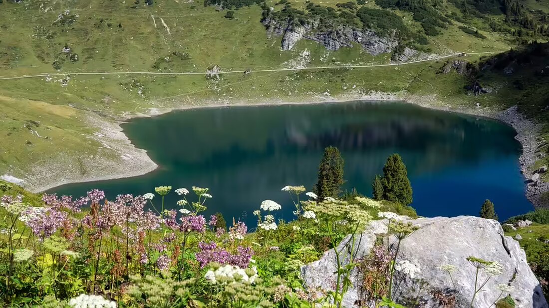 ÖVP und FPÖ einigen sich auf Koalition in Vorarlberg bis 2029. Erfahren Sie mehr über die politischen Inhalte und die Ressortverteilung. Spannende Entwicklungen in der Landesregierung. #Österreich #Vorarlberg #Koalition #Politik