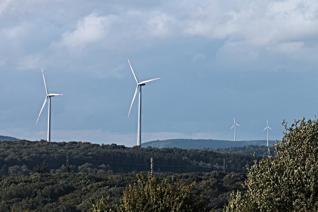 Experten warnen: Österreich benötigt massive Freiflächen-PV für die Energiewende. Hubert Fechner erläutert, warum Ziele bis 2030 nicht ohne diese Maßnahmen erreicht werden können.