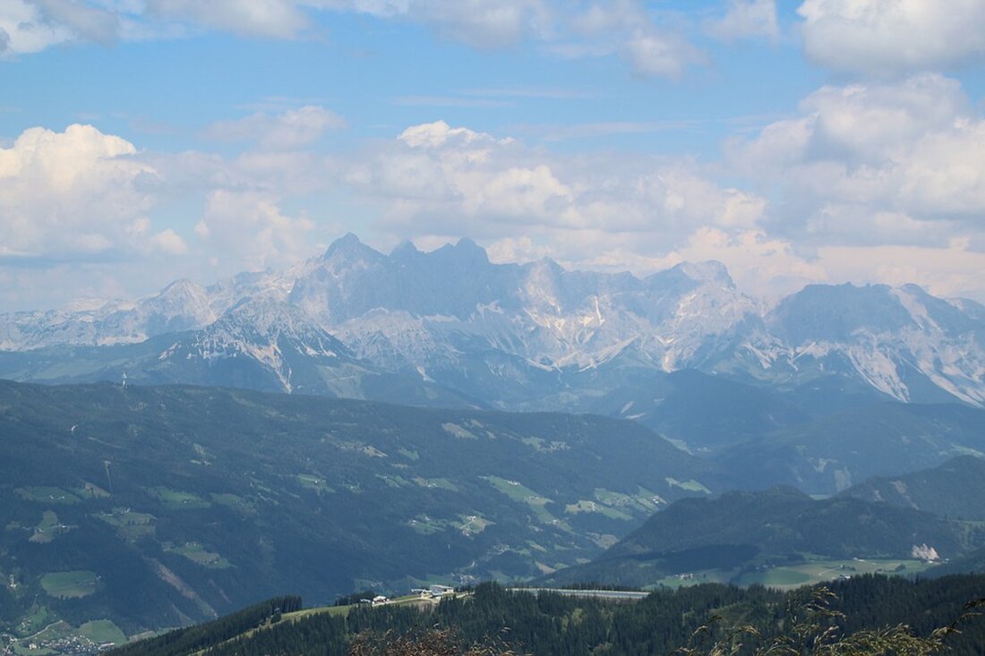 Österreich steht vor der Herausforderung, die Energiewende zu erreichen. Experten betonen die Notwendigkeit von Freiflächen-PV, um die Klimaziele bis 2030 zu erfüllen. Erfahren Sie mehr über die neuesten Entwicklungen.