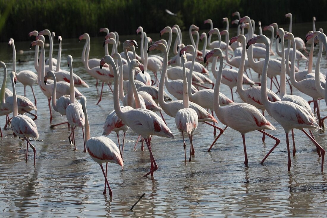 Die anhaltenden Militäraktionen Israels gegen Iran werfen Fragen zur Exit-Strategie auf. Ohne klare Perspektive riskieren beide Länder einen endlosen Krieg mit unvorhersehbaren Folgen.
