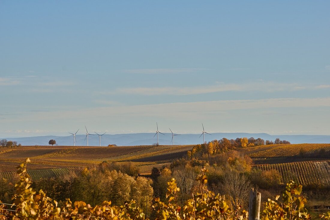 Erfahren Sie, warum Experten die Energiewende in Österreich nur durch Freiflächen-PV meistern können. Hubert Fechner betont das ungenügende Potenzial bestehender Infrastrukturen.