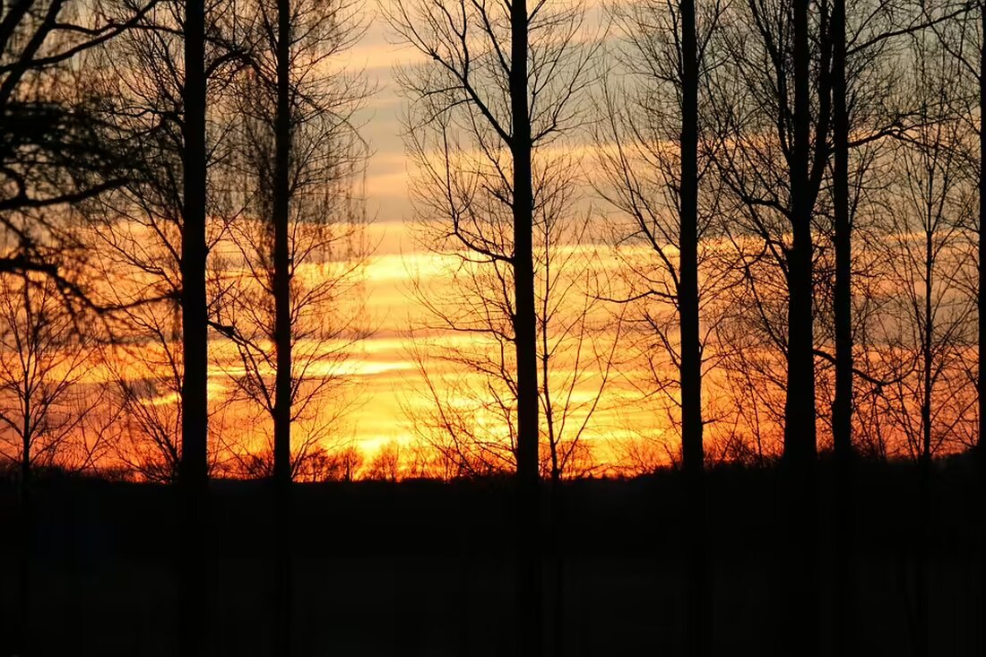 Die Polizeiinspektion Julius-Tandler-Platz kehrt aus ihrem Ersatzquartier zurück. Ab dem 19. November ist die neue Dienststelle in der Nordbergstraße 5 betriebsbereit. Bitte beachten: vom 4. bis 19. November kein Parteienverkehr.