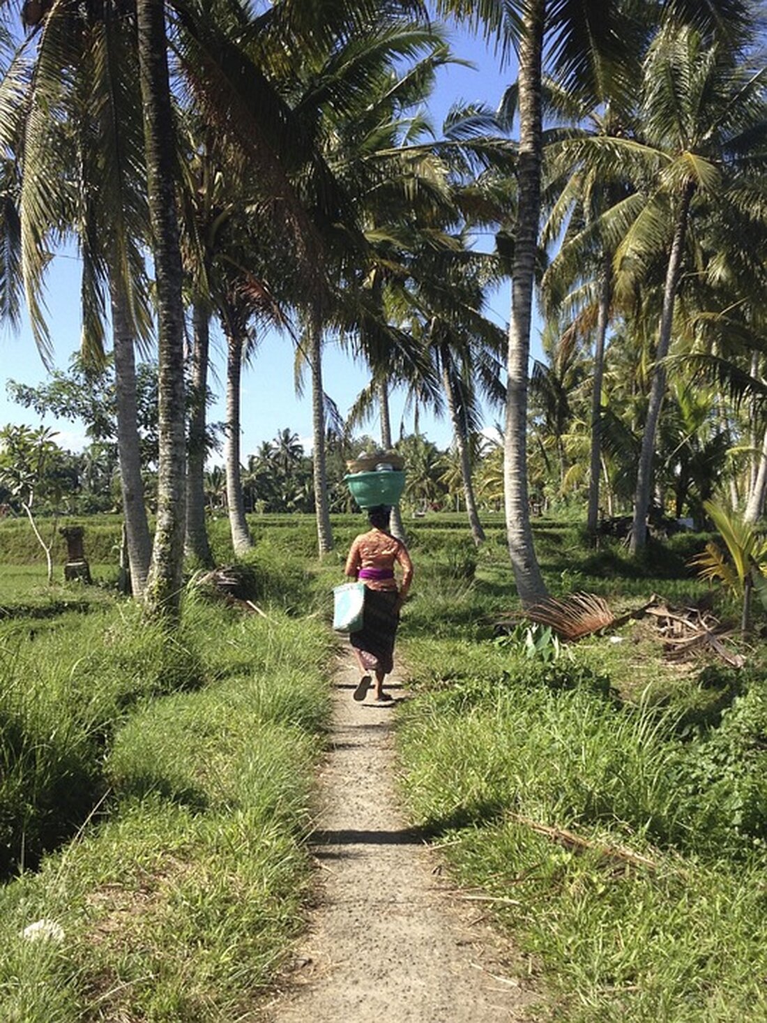 Der Firlingerhof in Scharten wurde für seinen Jungmost 2024 ausgezeichnet. Erfahren Sie mehr über die prämierte Qualität und die vielfältige Ernteoberösterreichs!