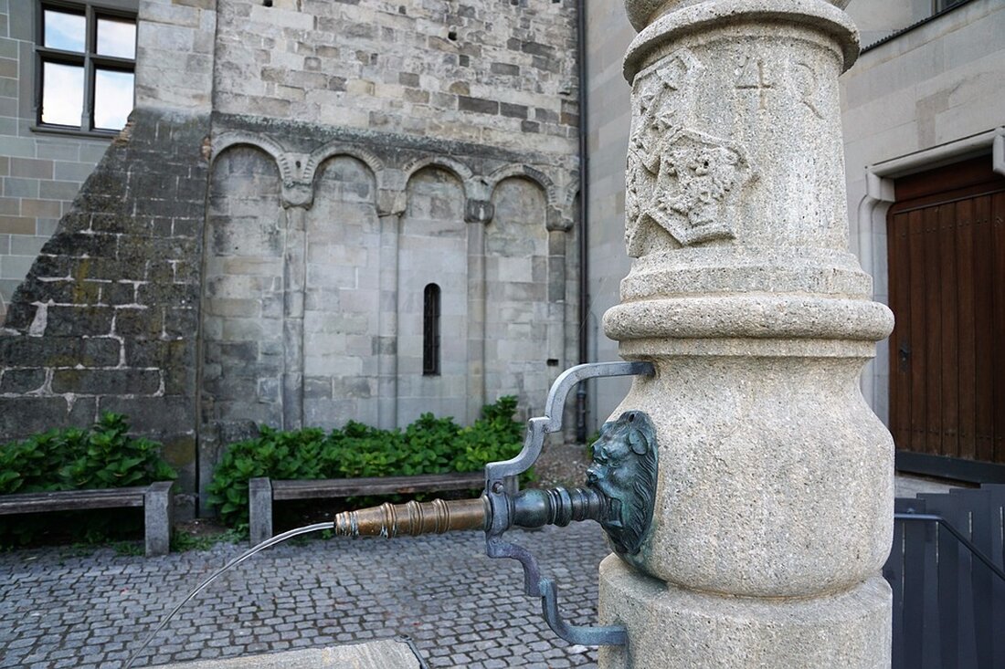Erfahren Sie mehr über den Muli T15 V, das neueste Spitzenmodell von Reform Wels, das auf der Agrama 2024 in Bern präsentiert wird. Entdecken Sie Innovationen in der Kommunal- und Berglandtechnik!