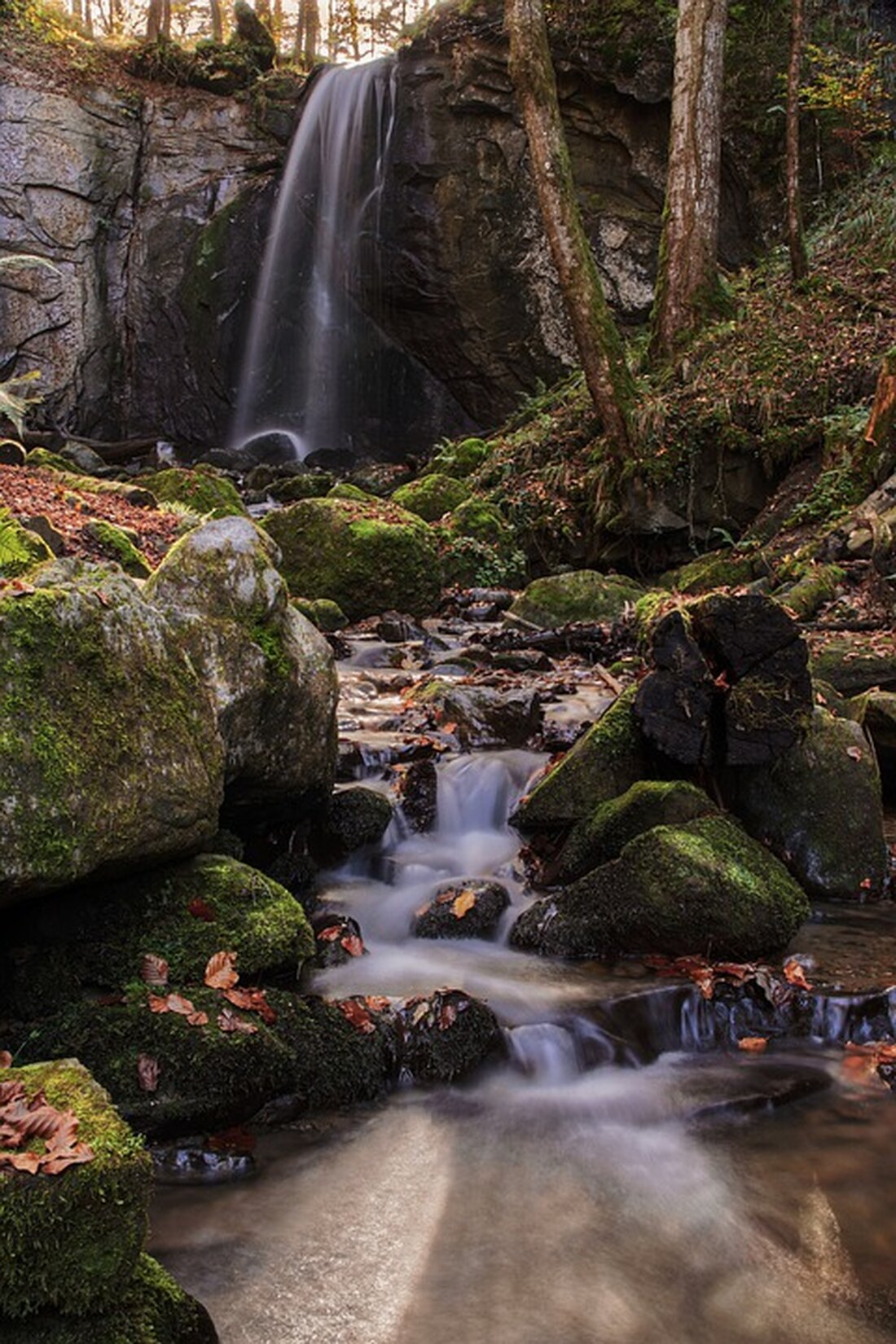 Ein 78-jähriger Mann stürzte in Gmunden vom Balkon und verletzte sich schwer. Retter benötigten eine Stehleiter, um zu ihm zu gelangen. Weitere Informationen zur dramatischen Rettungsaktion hier.